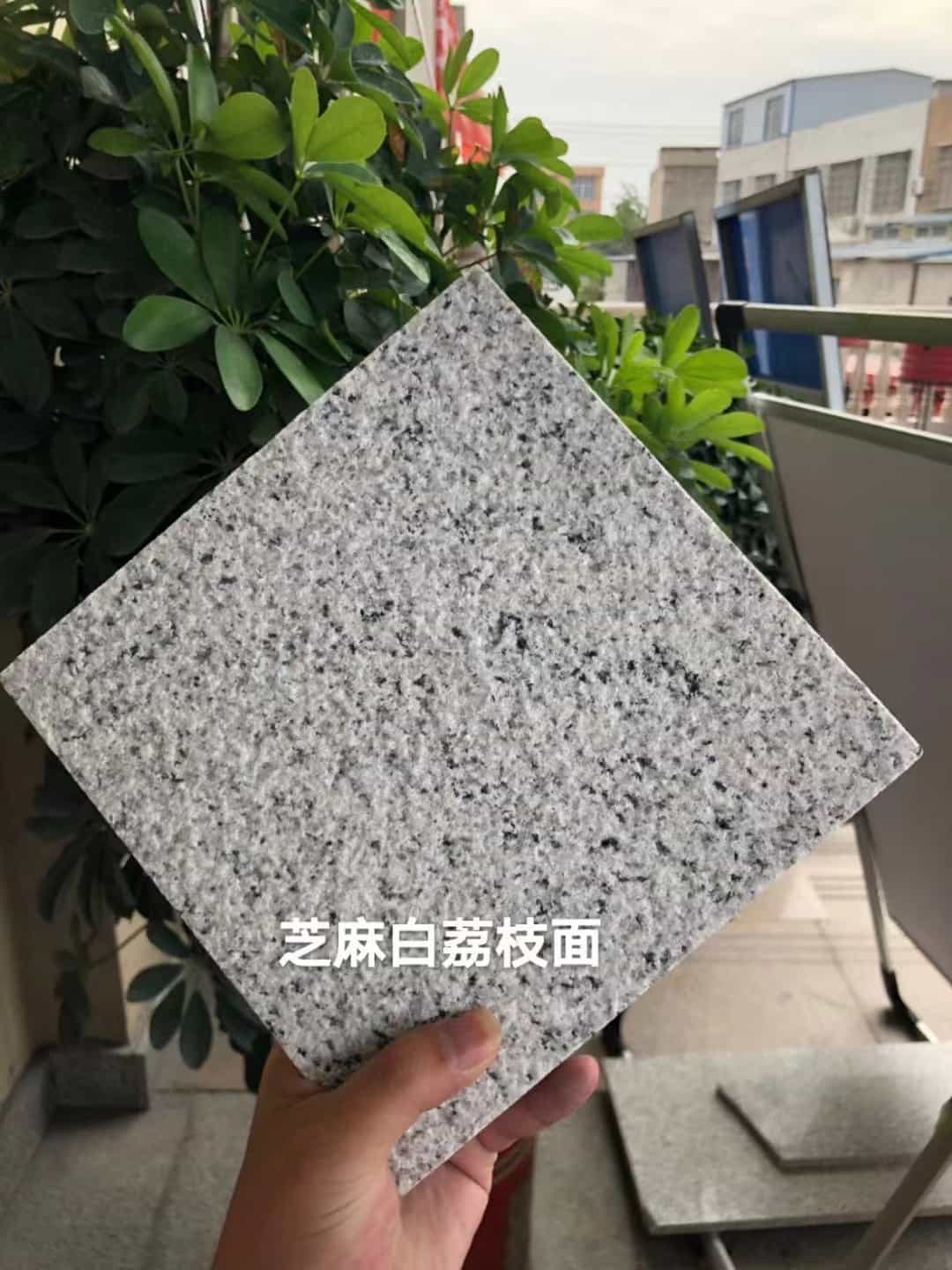 内蒙古 芝麻白荔枝面干挂