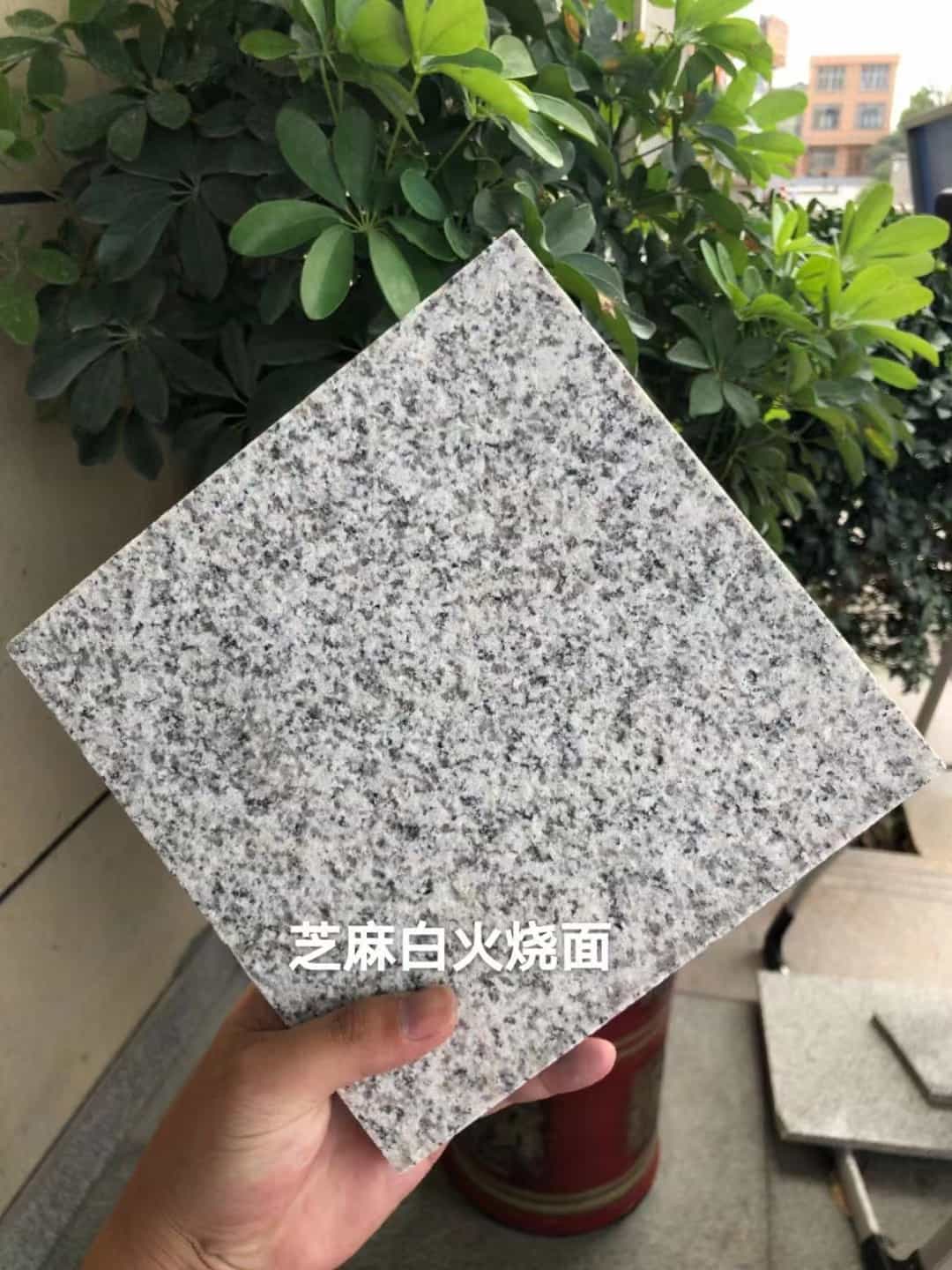 内蒙古芝麻白火烧面地铺