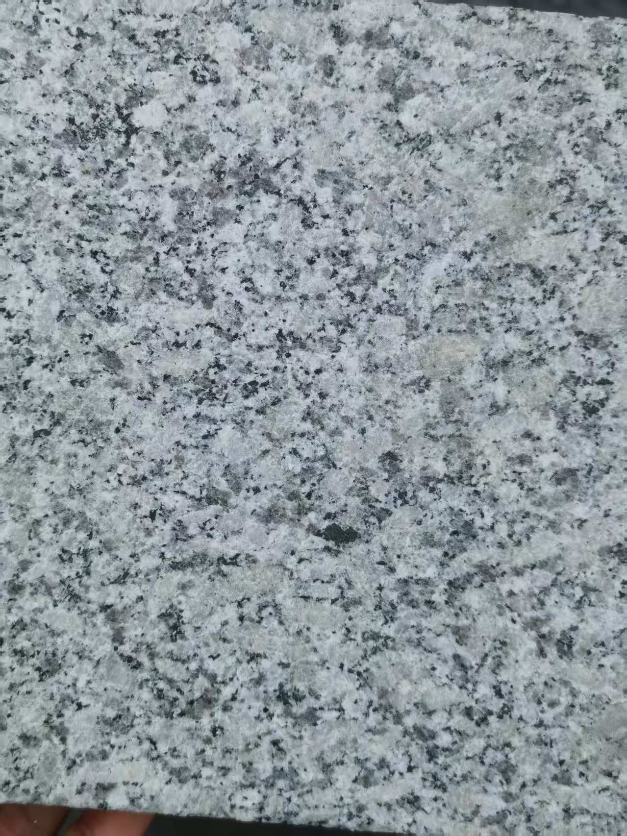 内蒙古 芙蓉白火烧面